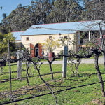 Tintilla Estate on Hermitage Road, Hunter Valley