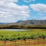 Brokenback Mountains Hunter Valley