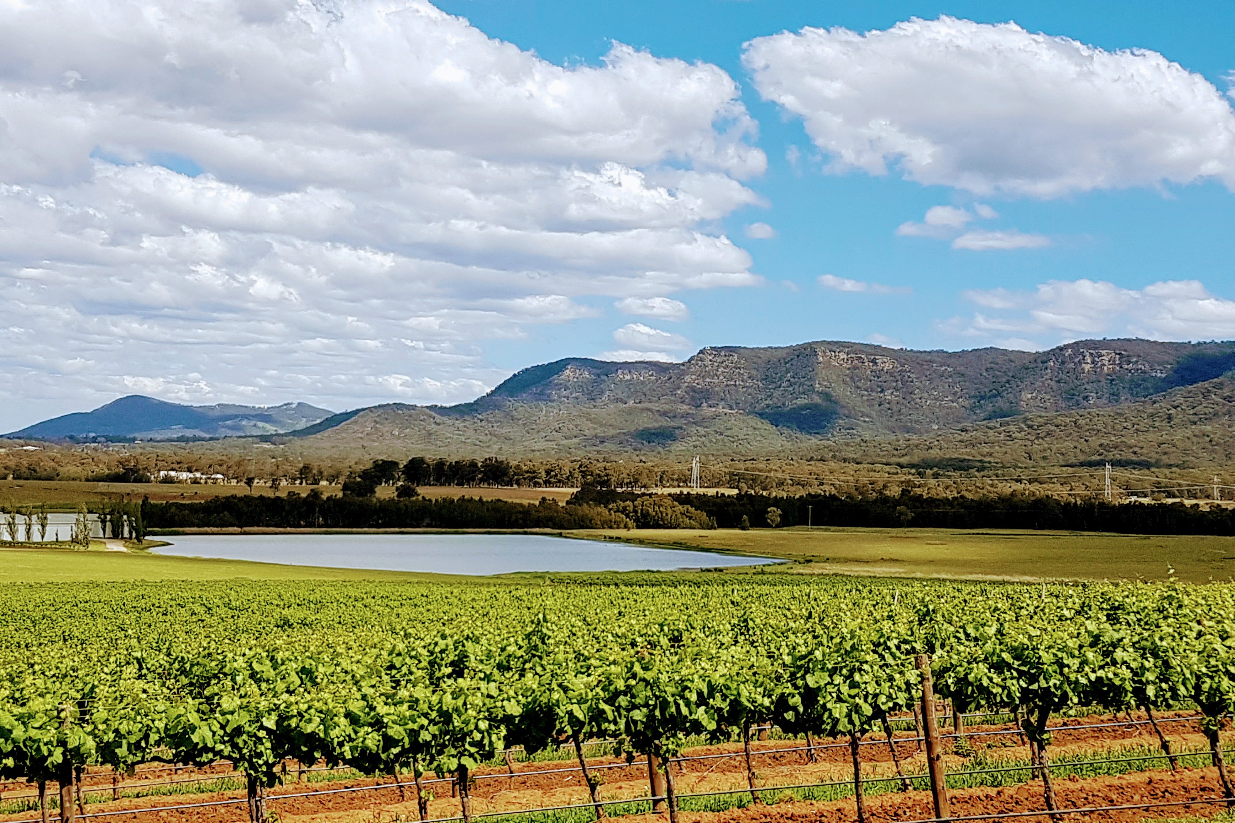 Discover The Mountains Of The Valley Looking Up And Down Around Hermitage Pokolbin