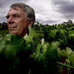 The story of one of our country’s greatest vineyards