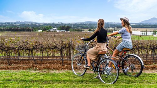 hunter valley cycling tour