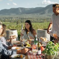 An outdoor long lunch among the vines with the ranges behind